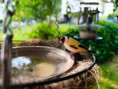 /album/fotogalerie-moje-outside-prace-/martinh-collection-outdoor-08-25-3-jpg/